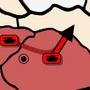 diplo_support.png